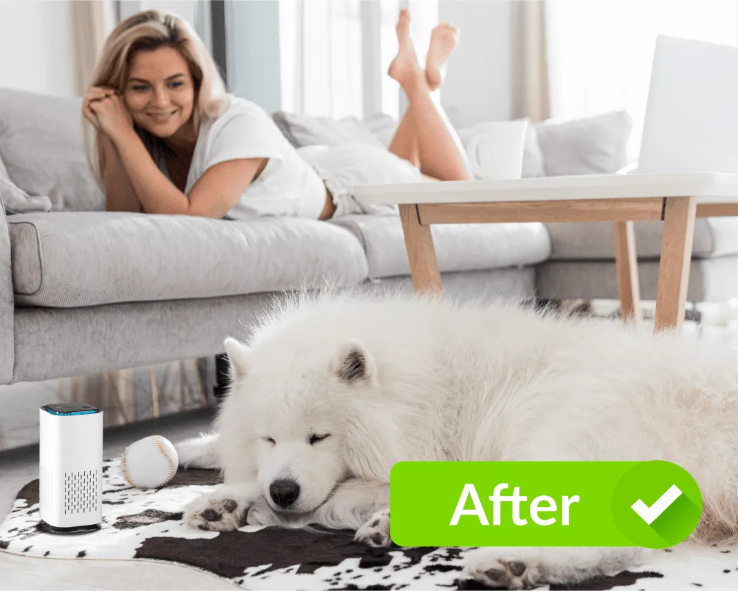 Pet Air Purifier
