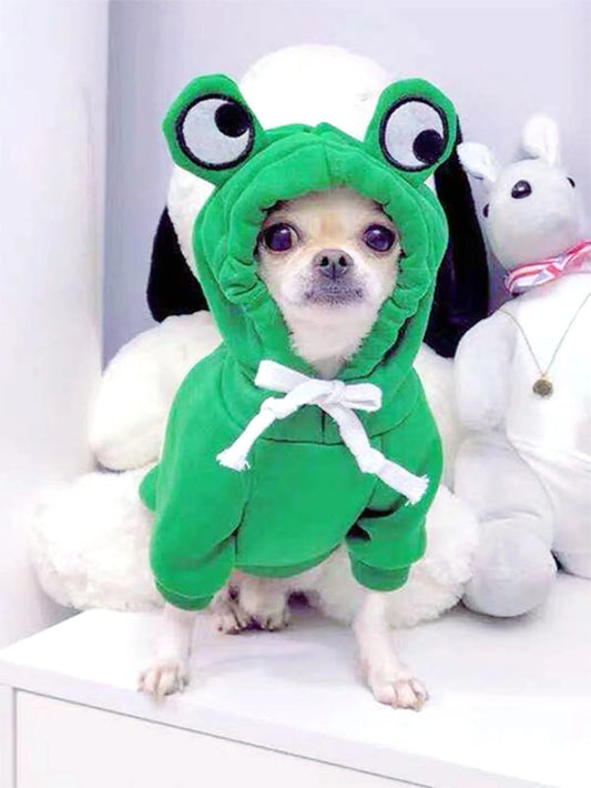 Adorable Frog Pet Sweater for Dogs