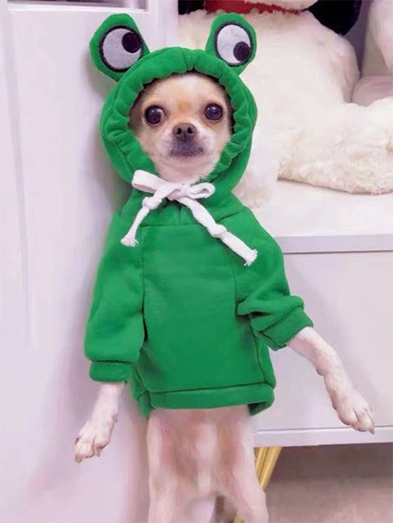 Adorable Frog Pet Sweater for Dogs