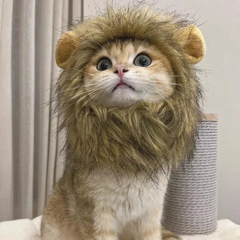 Cute Cat Wig Lion Mane Costume Cosplay