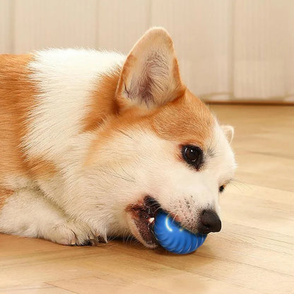 Interactive Dog Ball Toys, Bounce Ball for Dogs