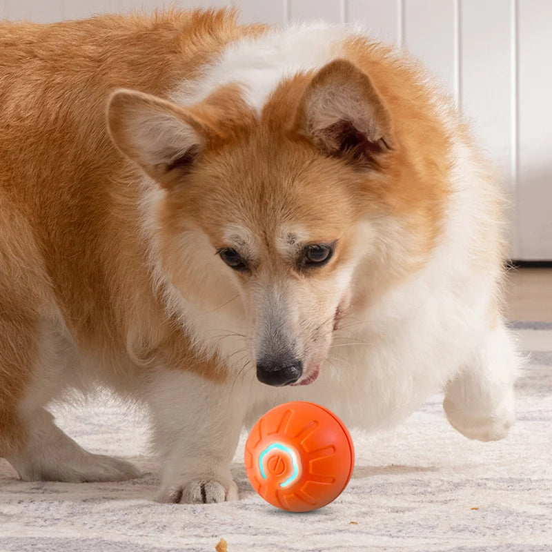 Interactive Dog Ball Toys, Bounce Ball for Dogs