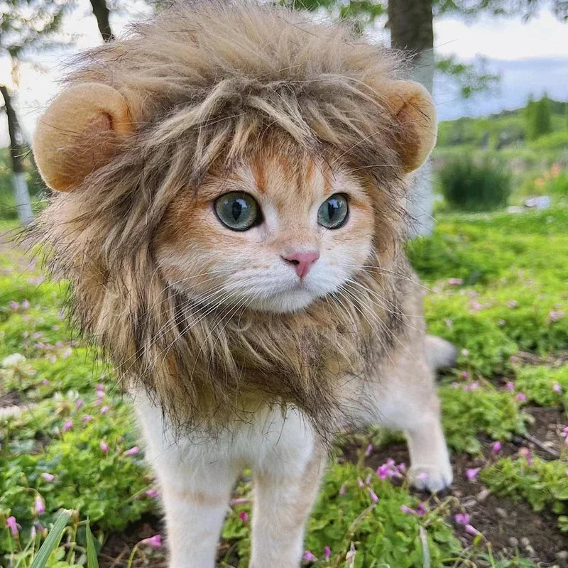 Cute Cat Wig Lion Mane Costume Cosplay