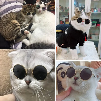 Lovely Cat Costume Sunglasses Hat