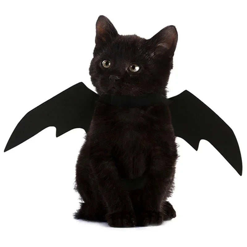 Halloween Cute Pet Clothes Black Bat Wings