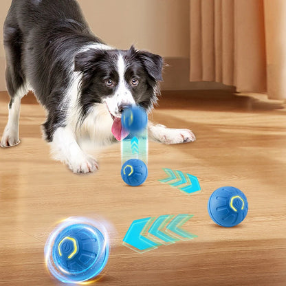 Interactive Dog Ball Toys, Bounce Ball for Dogs