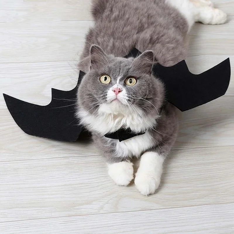 Halloween Cute Pet Clothes Black Bat Wings