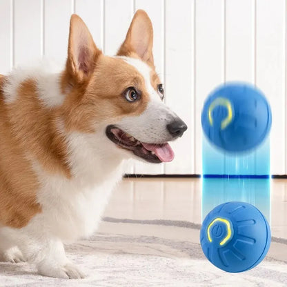 Interactive Dog Ball Toys, Bounce Ball for Dogs