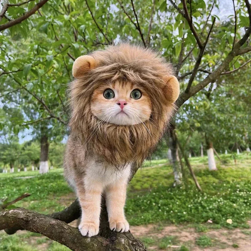 Cute Cat Wig Lion Mane Costume Cosplay