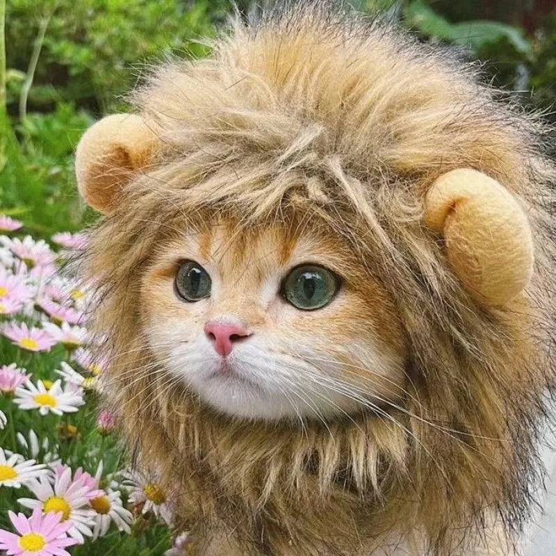 Cute Cat Wig Lion Mane Costume Cosplay