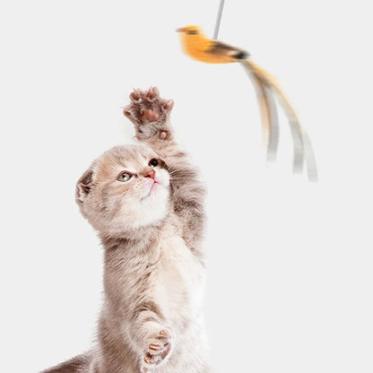 Simulated Petelligent Feather Teaser Cat Toy