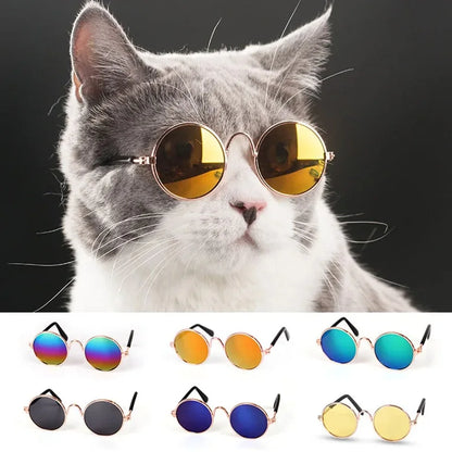 Lovely Cat Costume Sunglasses Hat